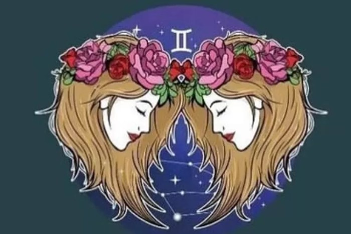 Kelebihan dan kekurangan zodiak Gemini